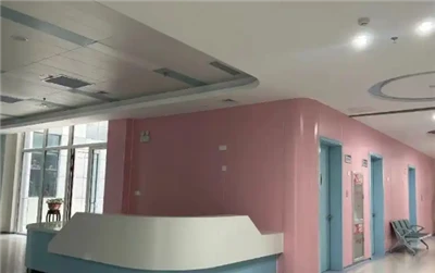 Paneli s anorganskim-premazom: A2 vatro{2}}ocjena, antibakterijska rješenja z...